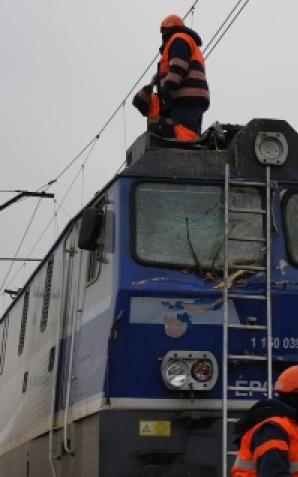 Ścięta topola runęła na pociąg relacji Warszawa - Szczecin! 