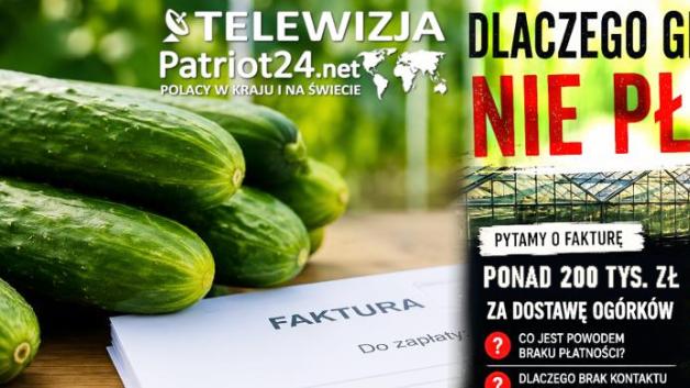 120 tysięcy złotych za ogórki i miesiące oczekiwania na pieniądze. Kontrahent Green Group nadal czeka na zapłatę